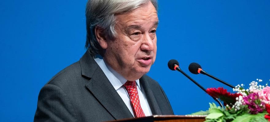 Guterres nomme la Neerlandaise Sigrid Kaag pour coordonner lacheminement de