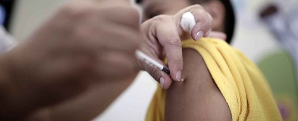 La premiere campagne de vaccination contre la grippe chez les