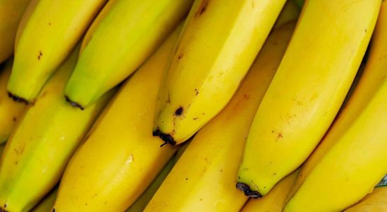 Laliment qui contient plus de potassium que les bananes et