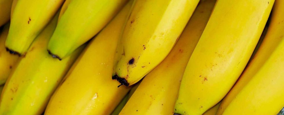 Laliment qui contient plus de potassium que les bananes et