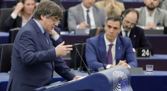 Le Conseil de lEurope rendra son avis sur la loi