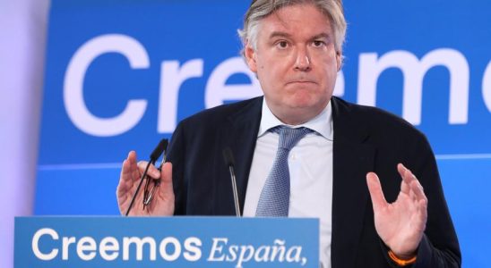 Le PSOE accuse un depute europeen du PP davoir qualifie