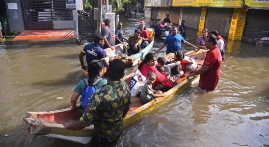 Le passage du cyclone Michaung en Inde fait 14 morts