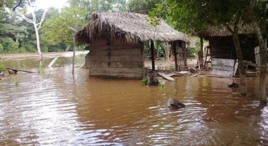 Les inondations en Bolivie font au moins trois morts