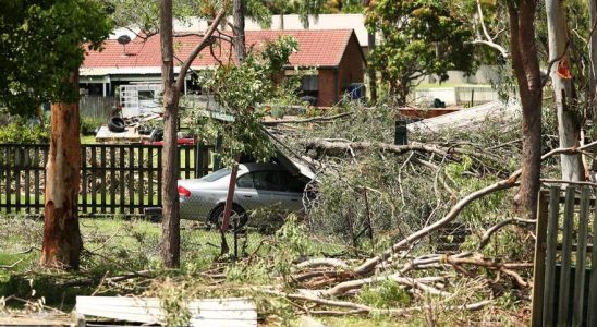 Les tempetes font deja onze morts en Australie