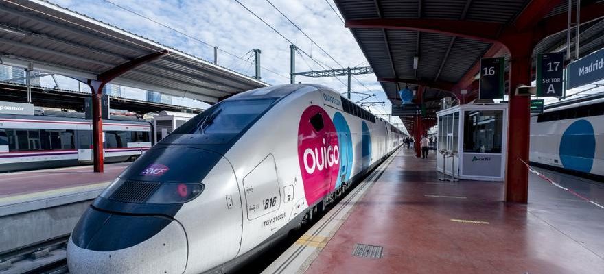 PRIX DES OISEAUX La liberalisation du train fait baisser