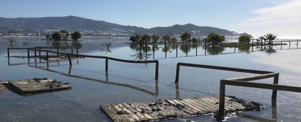 Plus de 80 du littoral mediterraneen menace par la