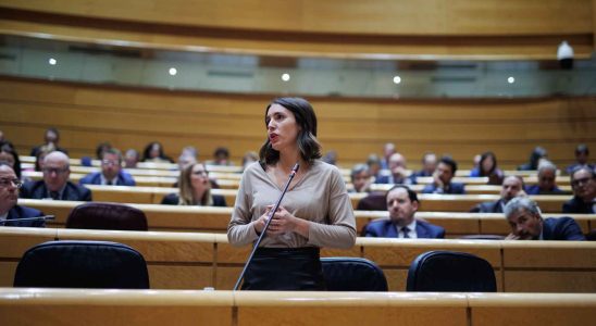 Podemos presentera Irene Moreno comme tete de liste pour les