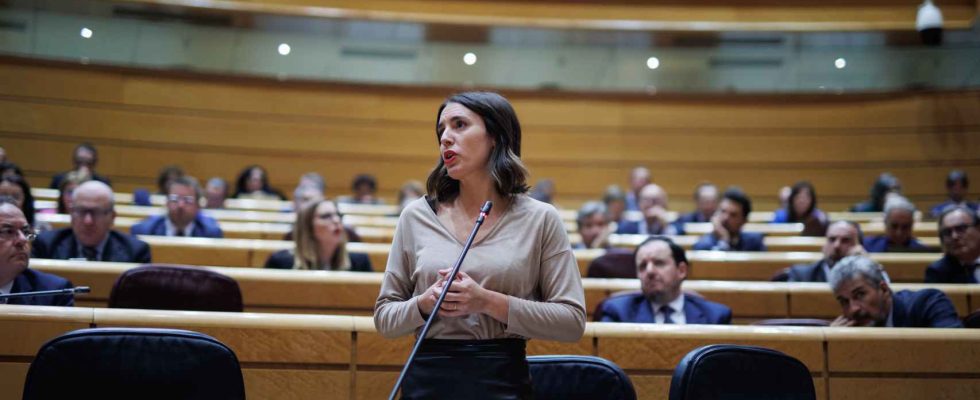 Podemos presentera Irene Moreno comme tete de liste pour les