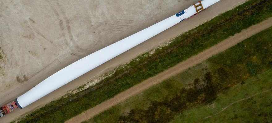 Repsol et Vestas construiront des eoliennes de 200 metres de