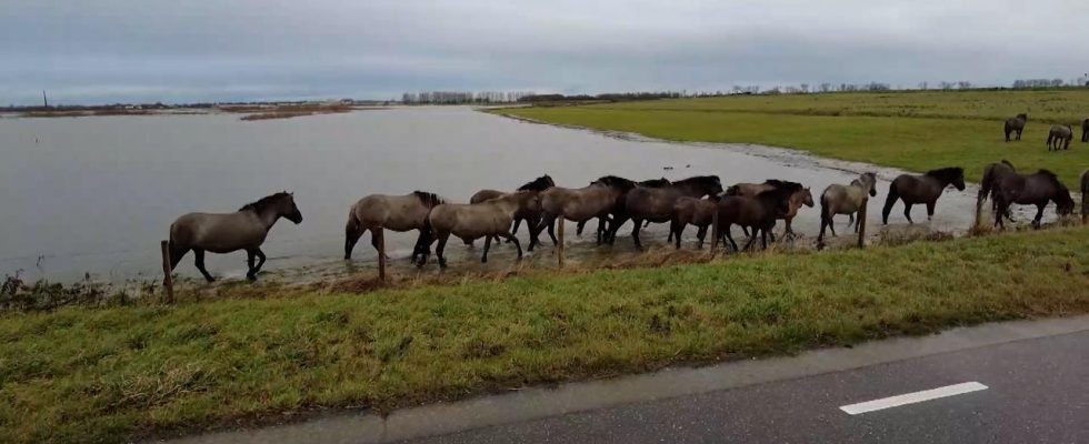 Routes et caves inondees en raison du jour de Noel