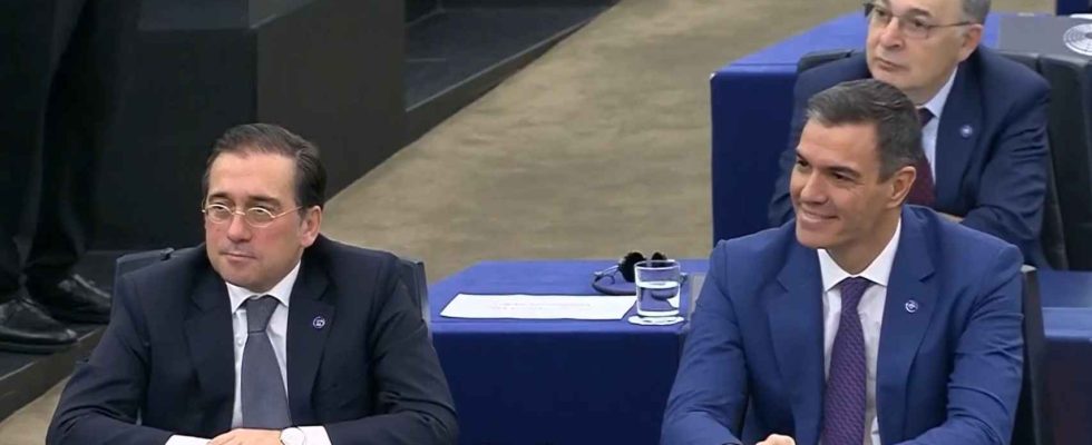 Un chien se met a aboyer au Parlement europeen apres