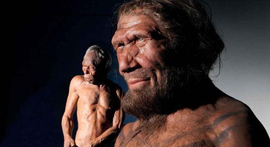 la cle est dans les genes de Neandertal