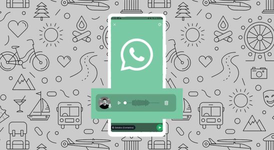 6 astuces pour les statuts WhatsApp qui changeront completement la