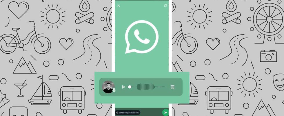 6 astuces pour les statuts WhatsApp qui changeront completement la