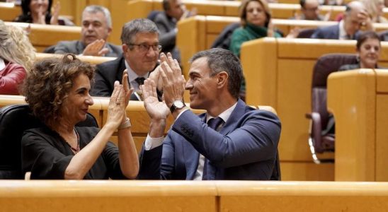 Avec ces boeufs il faut labourer