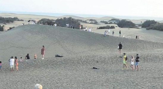 Carnage dans les dunes de Maspalomas