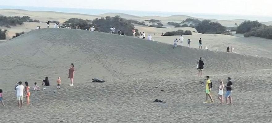 Carnage dans les dunes de Maspalomas