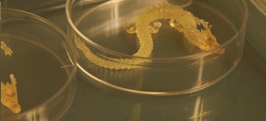 Des scientifiques chinois explorent limpression micro nano 3D pour produire des