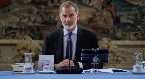 Felipe VI defend que la Palestine soit un Etat afin