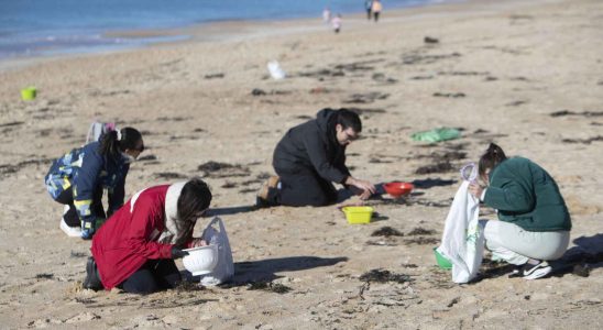 La Xunta exige du gouvernement plus dinformations sur les pellets