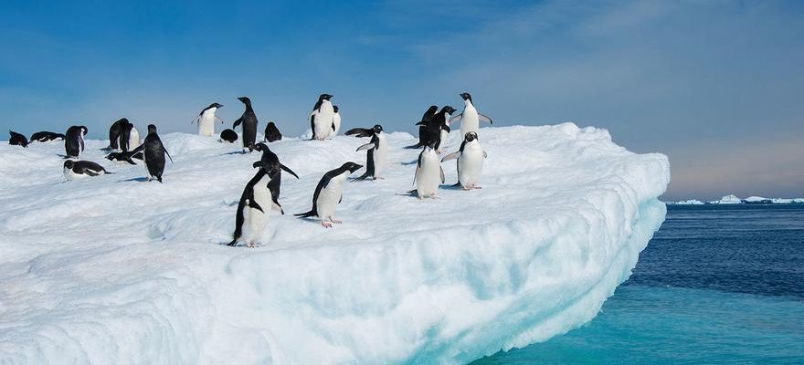 Lacidite des eaux de lAntarctique est en passe de doubler