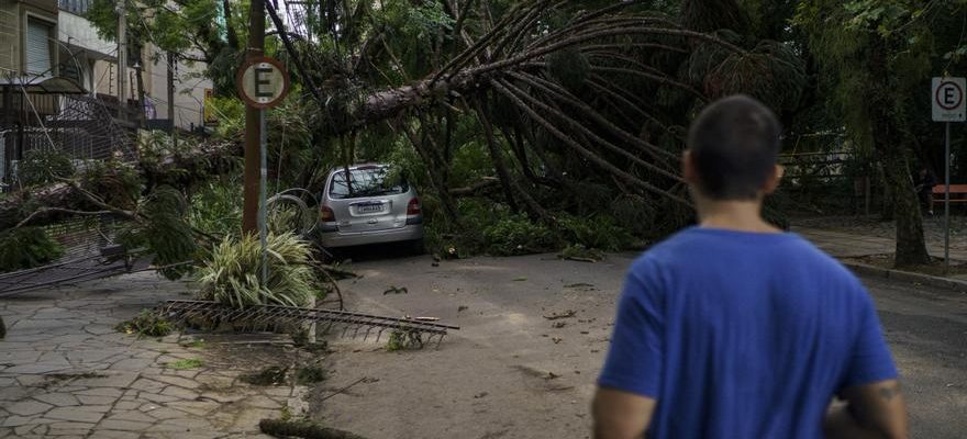 Le passage dune tempete a travers le Bresil fait un