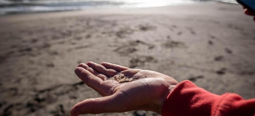 Les scientifiques excluent que les pellets trouves a Bajamar soient