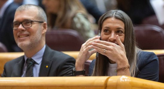 Puigdemont amnistie in extremis a Sanchez avec 8
