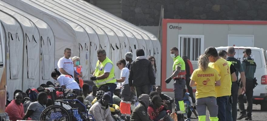 Quelque 600 immigrants sont arrives aux iles Canaries a bord