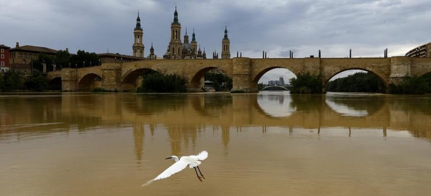 Rejet politique du transfert a la Catalogne mais sans