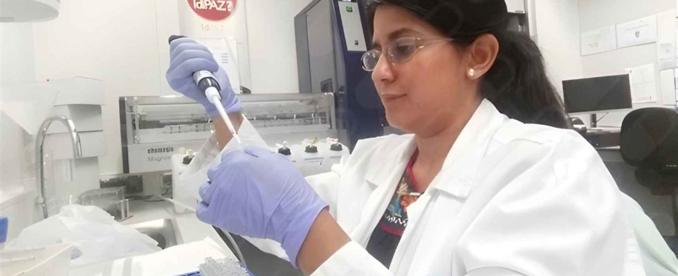 Talamantes geneticien de Harvard et incapable de travailler en Espagne