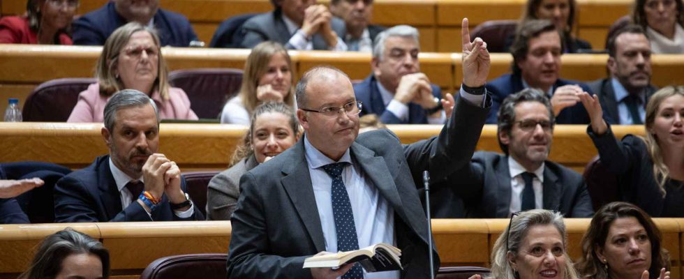 Tellado ordonne dignorer Vox et deviter les bagarres