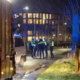 Un homme decede a cause dun feu dartifice a Haarlem