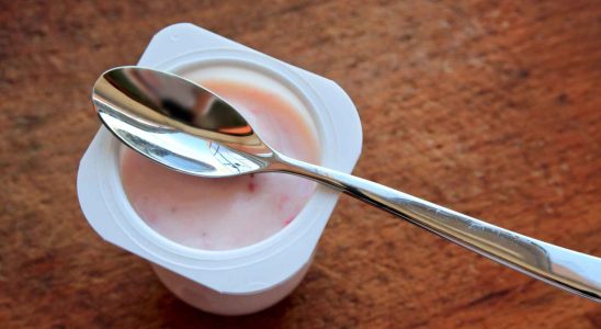 Cest le yaourt qui contient le plus de probiotiques dans