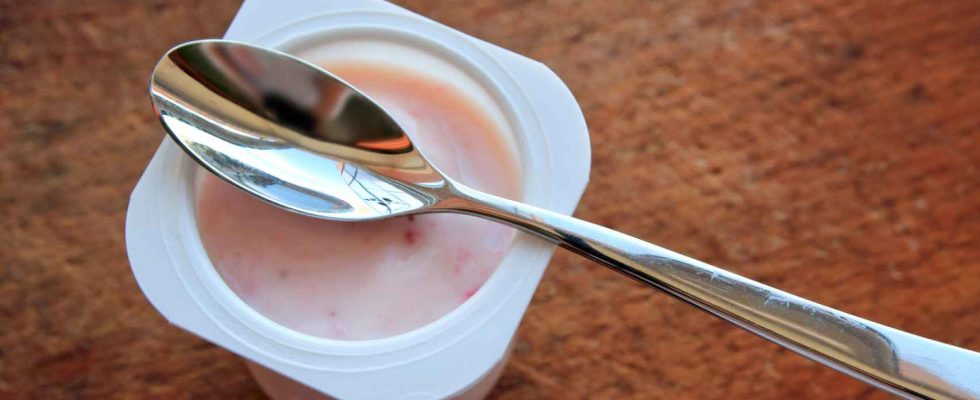 Cest le yaourt qui contient le plus de probiotiques dans