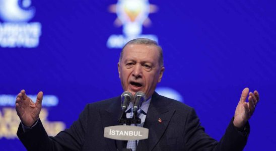 Erdogan fonde un parti pour les elections europeennes et declenche