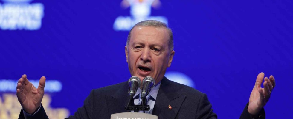 Erdogan fonde un parti pour les elections europeennes et declenche