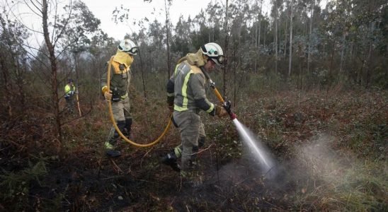 FEUX DE FORET 3 697 hectares brulent en Espagne