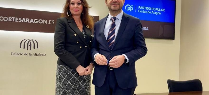 Herrarte PP denonce les insultes dun depute du PSOE a