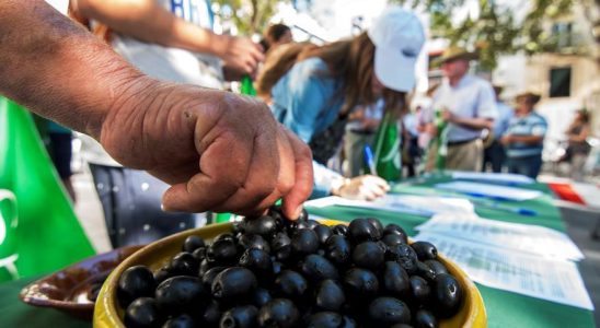 LUE gagne la bataille commerciale des olives noires contre les