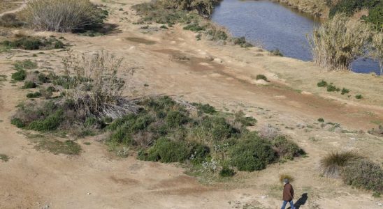 La Catalogne souffre de la pire secheresse du siecle mais