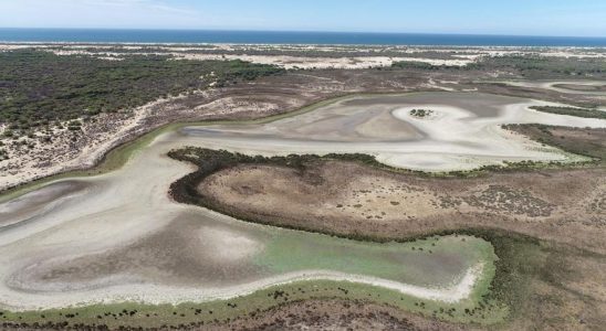 Laccord sur Donana est en danger en raison dune nouvelle