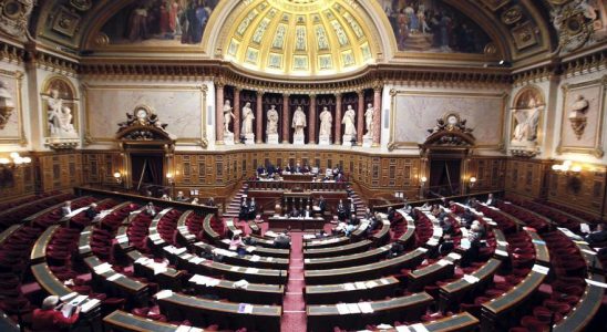 Le Senat francais approuve linscription de lavortement dans la Constitution