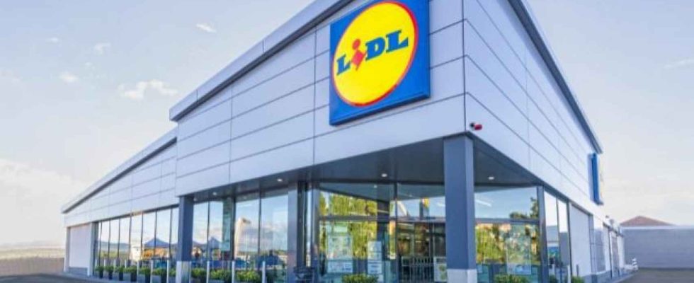 Lidl met en vente le produit star de formation a