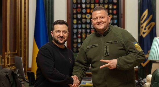 Zelensky limoge Valeriy Zaluzhnyi commandant en chef de larmee ukrainienne