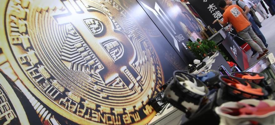 Bitcoin depasse 73 000 et revalide des sommets sans