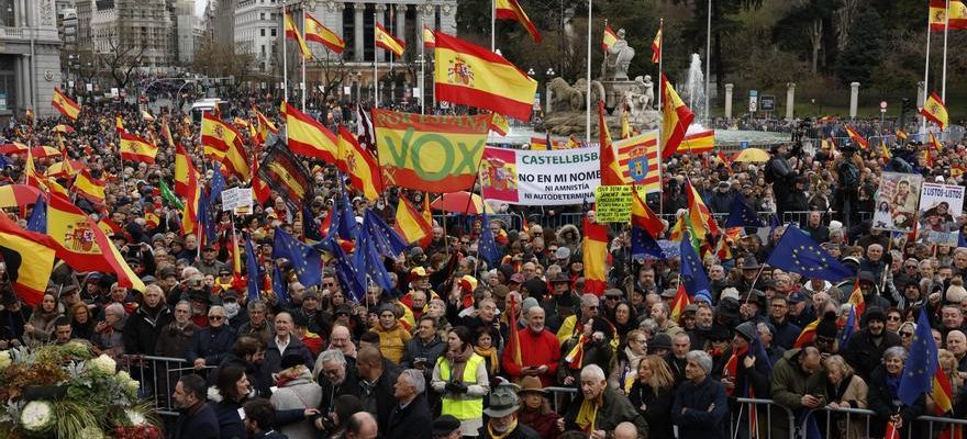 Des milliers de personnes envahissent Cibeles pour exiger la demission