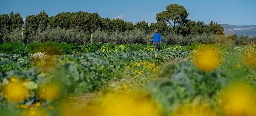 Il sagit du projet dagriculture regeneratrice en Catalogne qui retient