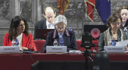 La Commission de Venise critique la portee de la loi